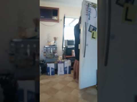 Look at them it's all good while I'm having just a bad day they are all relaxed.  my leg hurts