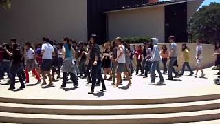 Tokyo Polka flash mob at Stanford