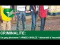 CRIMINALITE: Un gang dénommé " ARMEE CINGLEE " démantelé à Yaoundé