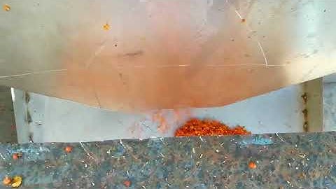 Fruit Food Color Sorter-256 Channel 4 Chute Food Sorting Machine