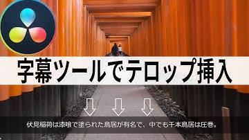 字幕機能の使い方・テロップ挿入方法・TEXTとの違い｜Davinci Resolve16  ｜【Vol.26 Davinciの館】