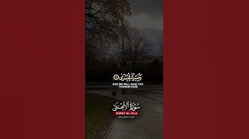 سورة الأعلى/ ماهر المعيقلي #تلاوة_خاشعة #اكسبلور #ماهر_المعيقلي #سورة_الاعلى #islamicprayer #quran