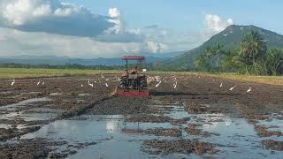 Yanmar Tractor YM351 | Bukidnon | Month of November 2022 | Valencia City