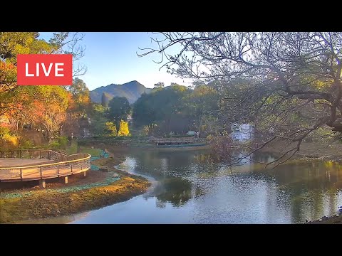 Jiaobanshan Eco Pond Live Cam 角板山生態池即時影像