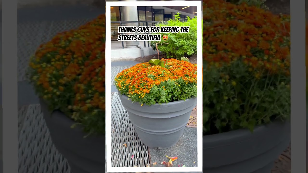 Appreciating the good work😍