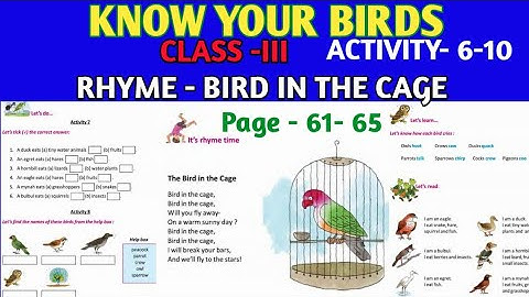 CLASS-III;LESSON-4;KNOW YOUR BIRDS;ACTIVITY-6-10;RHYME- BIRDS IN THE CAGE;PAGE-61-65;