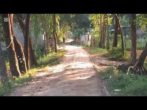 Cinematic Epic Intense Teaser Trailer Viral Funny Nature