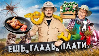 Что едят в ресторанах с ЖИВЫМИ животными / Еда из СВЕРЧКОВ / Фильм: Ешь, гладь, плати