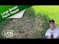How To Fix Brown Patch & Large Patch In St Augustine, Zoysia and Tall Fescue with The Lawn Care Nut