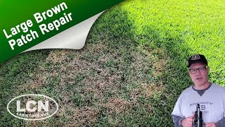How To Fix Brown Patch & Large Patch In St Augustine, Zoysia and Tall Fescue with The Lawn Care Nut screenshot 4
