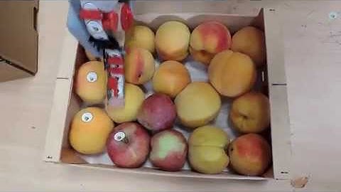 labelling machiney for fruits and vegetables