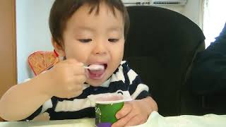 🍒I got yogurt as a snack! 👶 ♥おやつにヨーグルトもらったー！👶♥ by 【Cute Japanese Baby Vlog(*'▽')】可愛い日本の赤ちゃんのVlog 1,963 views 8 days ago 4 minutes, 6 seconds