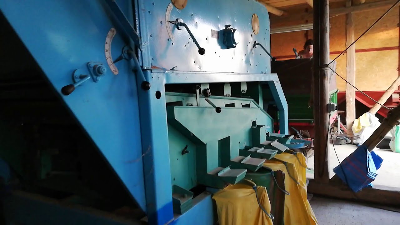 Czyszczenie pszenicy ozimej. Petkus k 531 Gigant.