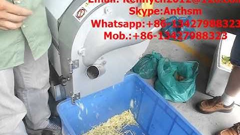 SH-100 ginger cutting machine, cutter, slice, strip , cube cutting machine