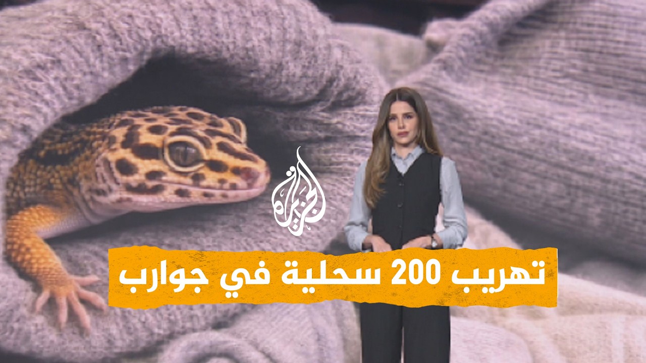 ����� | ����� ������ ����� ����� �� ���� �����
 - نشر قبل 34 دقيقة