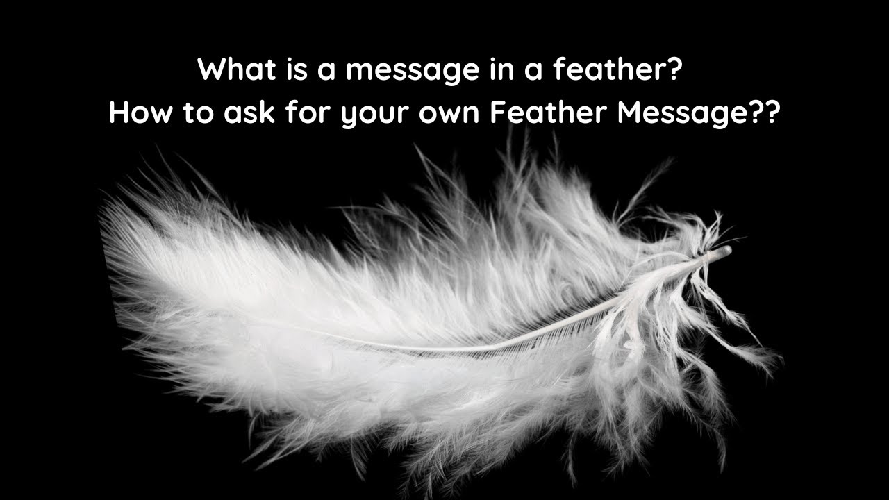 Message Feather what message in a feather? #feather - YouTube