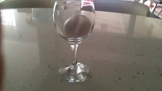 Yumurtaya Miyav Deyen Adam