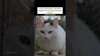 Tap here for details#islam#quran#hadith#salah#islamicreminder#cat#catshorts#viral#viralshorts#feed