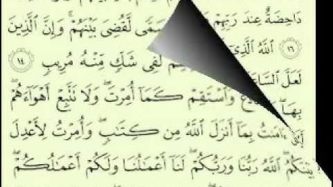 42  سورة الشورى الجزء 2-1 الآية 31-1 تلاوة الشيخ ماهر المعيقلي مع الآيات