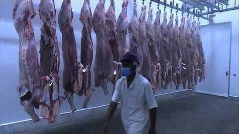 Meatco to retrench workers above 55 years of age - NBC