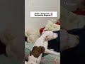 Mi perrita cuando ella se levanta quiere que todos se levanten😂#mascotas #dog #humor