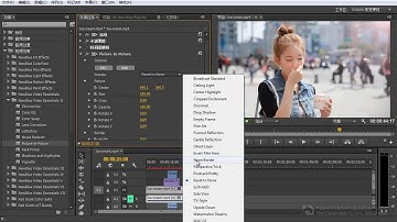 3 2 Video Essentials   效果组II