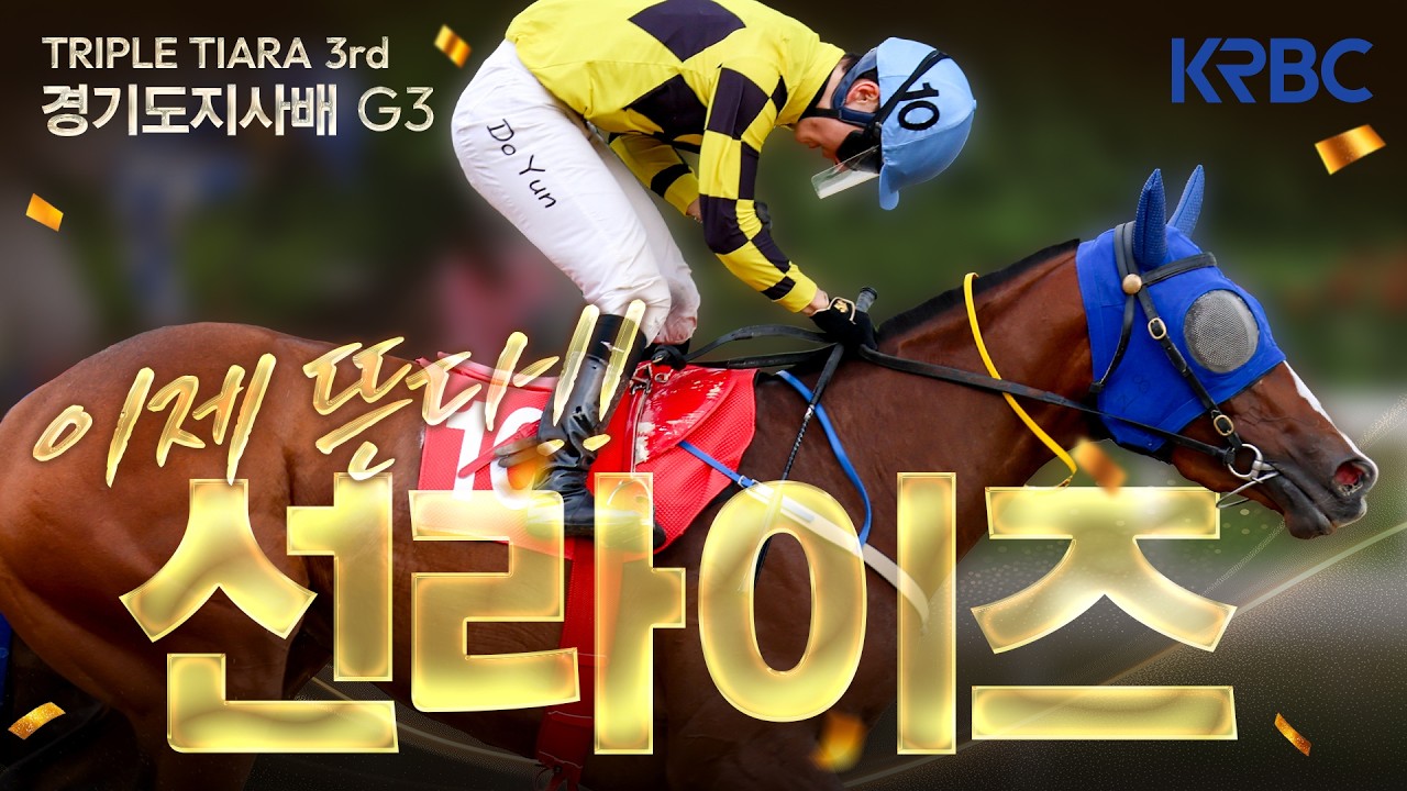 [경기도지사배 후기] 트리플티아라 마지막 관문! 새로운 해가 떴다!