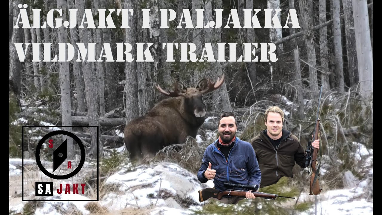 Älgjakt i Paljakka vildmark trailer - YouTube