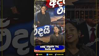 සජිත් කියන්නේ ගොං ද ?