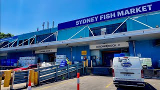 Sydney Fish Market Final Christmas Eve 2025 Seafood Marathon Crowds 24 December Pyrmont 4K HD ASMR screenshot 4