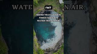 Mystery Fact: 🕵️‍♂️🔍🔒 #SecretsUnveiled #EnigmaticDiscoveries #UnravelTheUnknown