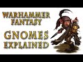 Warhammer fantasy lore  the gnomes explained