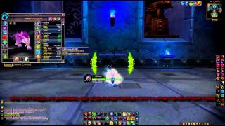 [WOWBEEZ] Feral Druid Gearing/reforges/talents