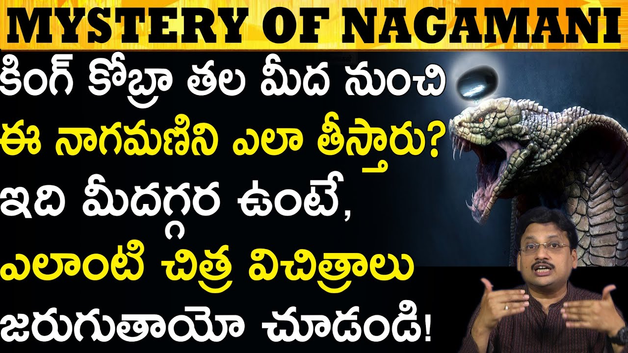 నాగమణి గురించిన ఈ వింతలు విన్నారా? Unbelievable Story Naga Mani! #TeluguBoxOfficeTV