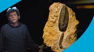Unlock Earth's Secrets: Discover How Rocks Shape Our World and Reveal Ancient Fossils! | TU Delft