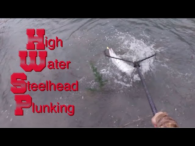 How To Catch Steelhead Plunking From The Bank (High Water Fishing Tips!)