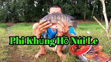 🎣Fishing. Câu Được Cá Trôi, Cá Rô Phi Ở Hồ Núi Le | 13-06-2022