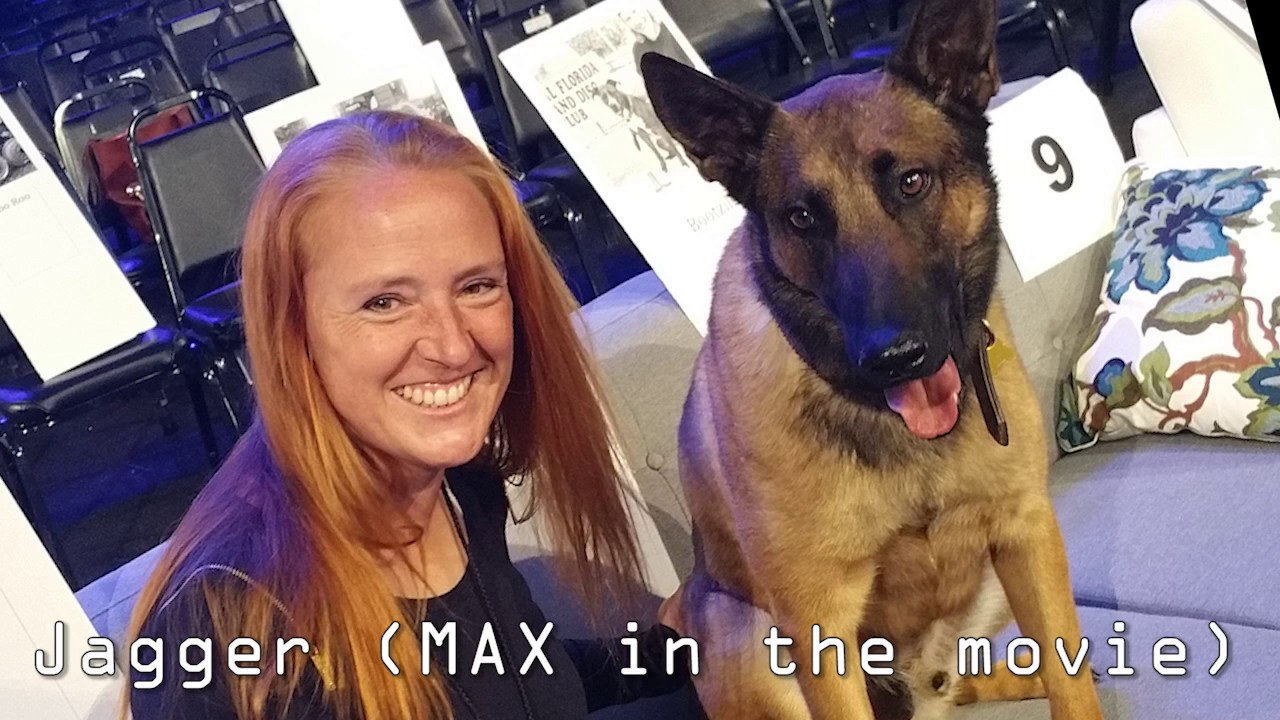 Bootzilla the Pit Bull goes to Hollywood Part 8 - World Dog Awards