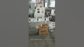 Paper tissue rolls in full pack counting sorting feeding manual bag filling sealing machine
