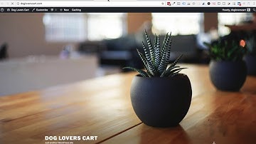 Video #10: 3 Different Ways to Install WordPress Theme