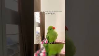 The Shocking Moment This Rescued Parrot Said Thank You 🦜