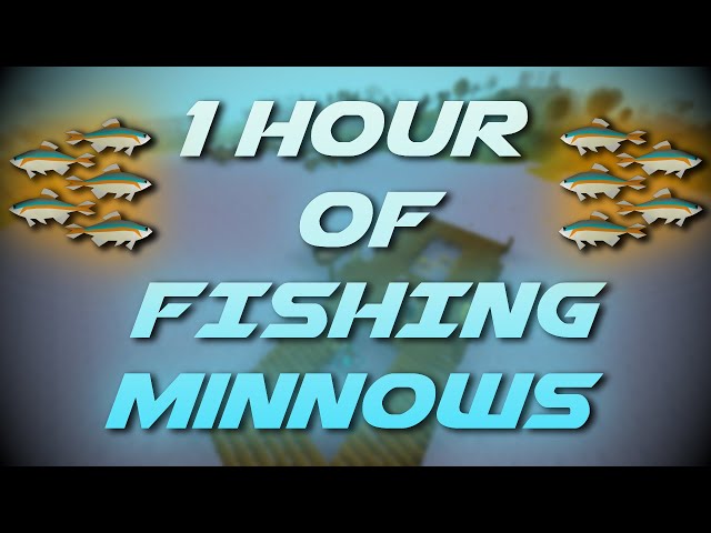 Make Money from Minnows - FLOATING ISLAND INTERNATIONAL