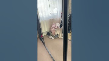 Day 2 of making ugly transitions ￼￼