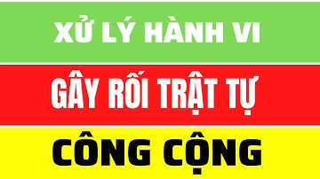 ➤Xử lý hành vi gây rối trật tự công cộng - Đơn giản dễ hiểu!
