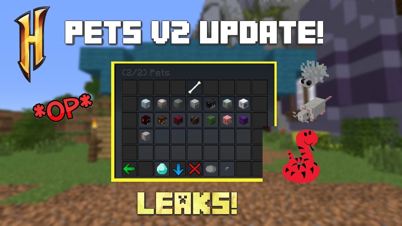 Pets V2 Update LEAKS! -- Hypixel Skyblock - YouTube