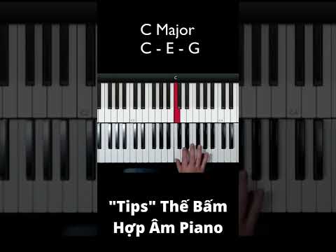 Thê Bấm Hợp Âm Piano Cơ Bản 🎹 Piano Tips | Short by VQT Piano mới 2023