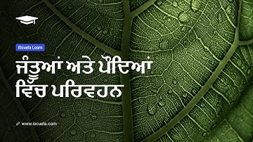 PB | Class7 | Science | Chapter 11 | Jantuan Ate Podiyan Vich Parivartn _02 (PSEB)