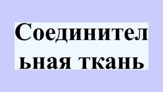 Соединительная ткань Соединительная ткань