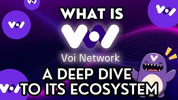 Decoding VOI Network: Your Essential Guide to its Ecosystem
