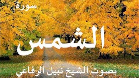 سورة الشمس بصوت الشيخ   نبيل الرفاعي 91